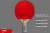 Теннисная ракетка Start line Level 300 New (анатомическая) 12401 Теннисная ракетка Start line Level 300 New (анатомическая) 12401